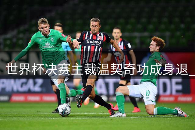 世界杯决赛主裁温契奇功成身退 斯洛文尼亚传奇裁判结束职业生涯